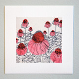 Garden Sketch Coneflowers Limited Edition Prints - Drawing