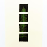 Dragonfly Fern Print Limited Edition Prints - Drawing