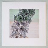 Garden Sketch Bells of Ireland Limited Edition Prints - Drawing