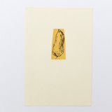 Harvest Sweet Potato Limited Edition Prints - Drawing