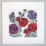 Garden Sketch Asters Limited Edition Prints - Drawing