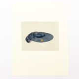 Hat Limited Edition Prints - Drawing
