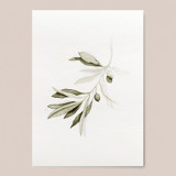 Green Olive Branch Limited Edition Prints - Painting
