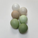 Sage Balloon Garland Luxury Kit (10-12ft) Party Balloons