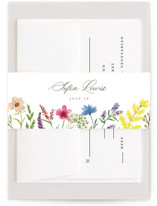 The Conservatory Bridal Shower Belly Bands