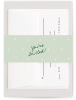 Charming in Stripes Bridal Shower Belly Bands