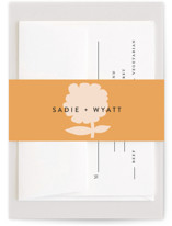 Bohemian Haze Bridal Shower Belly Bands