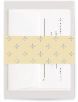 Strawberry Sunshine Bridal Shower Belly Bands