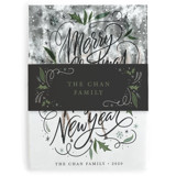 Script Merry Christmas Holiday Belly Bands