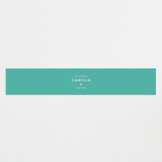Bonjour Macarons Baby Shower Belly Bands