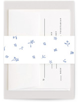 Baby pram Baby Shower Belly Bands