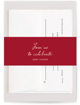 Winter Deer Carousel Baby Shower Belly Bands