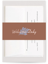 Fall in Love Baby Shower Belly Bands