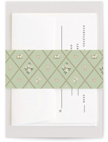 A New Chapter Baby Shower Belly Bands