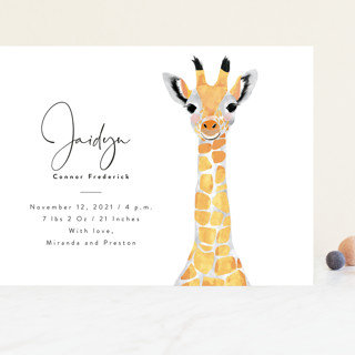 Baby Animal Giraffe Grand Birth Announcements