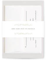 cramique Belly Bands