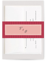 Velvet Cherry Belly Bands