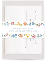 Everlasting Romance Belly Bands