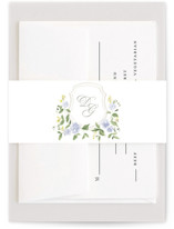 Ocean Point Belly Bands