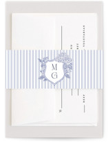 Southern Charm Toile Belly Bands