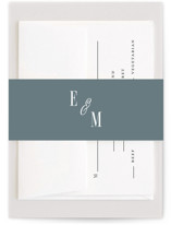 Modern Stripes Belly Bands