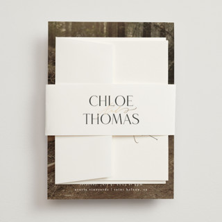 Overlay Foil-Pressed Belly Bands