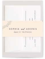 Stefana Foil-Pressed Belly Bands