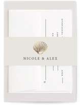 Simple Seashell Foil-Pressed Belly Bands