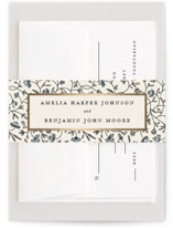 Hansen Foil-Pressed Belly Bands