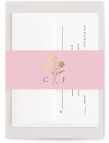 Foil-Pressed Belly Bands