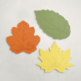 Promenade (set of 12) Place Card Sets
