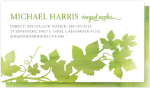 Watercolor Vineyard