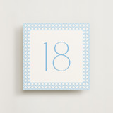 Delicate Rattan Sky (set of 20) Boxed Table Numbers