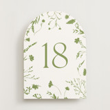 Untied Moss (set of 20) Boxed Table Numbers