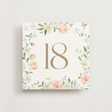 Garden View Peach (set of 20) Boxed Table Numbers