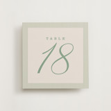 Linea Spruce (set of 20) Boxed Table Numbers