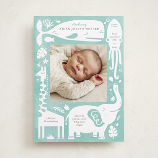 All God's Creatures Birth Announcements