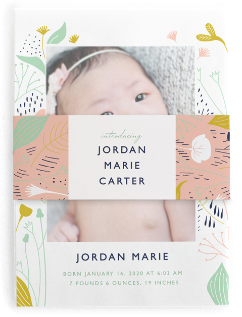 Soft Meadow Birth Announcement Belly Bands