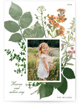 bouquet of wild flowers Christmas Photo Cards