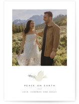 Papercut Dove Christmas Photo Cards