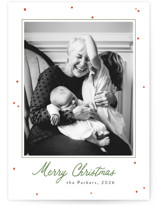 Frosted Berries Christmas Photo Cards