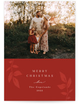 Branching Out Christmas Photo Cards