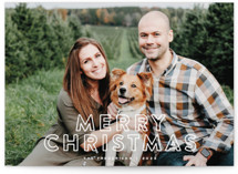 Snow Tracks Christmas Photo Cards