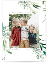 Festive Ferns Christmas Photo Cards