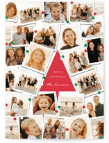 Family Tree Christmas Photo Cards