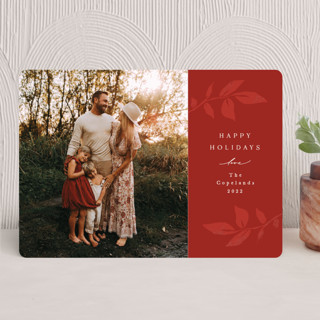 Branching Out Christmas Photo Cards
