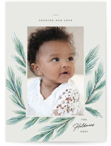 Pine Wisps Christmas Photo Cards