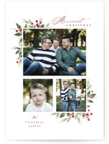 Festive Botanical Christmas Photo Cards