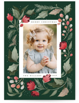 Beautiful Border Christmas Photo Cards
