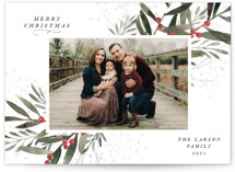 Holly Branches Christmas Photo Cards
